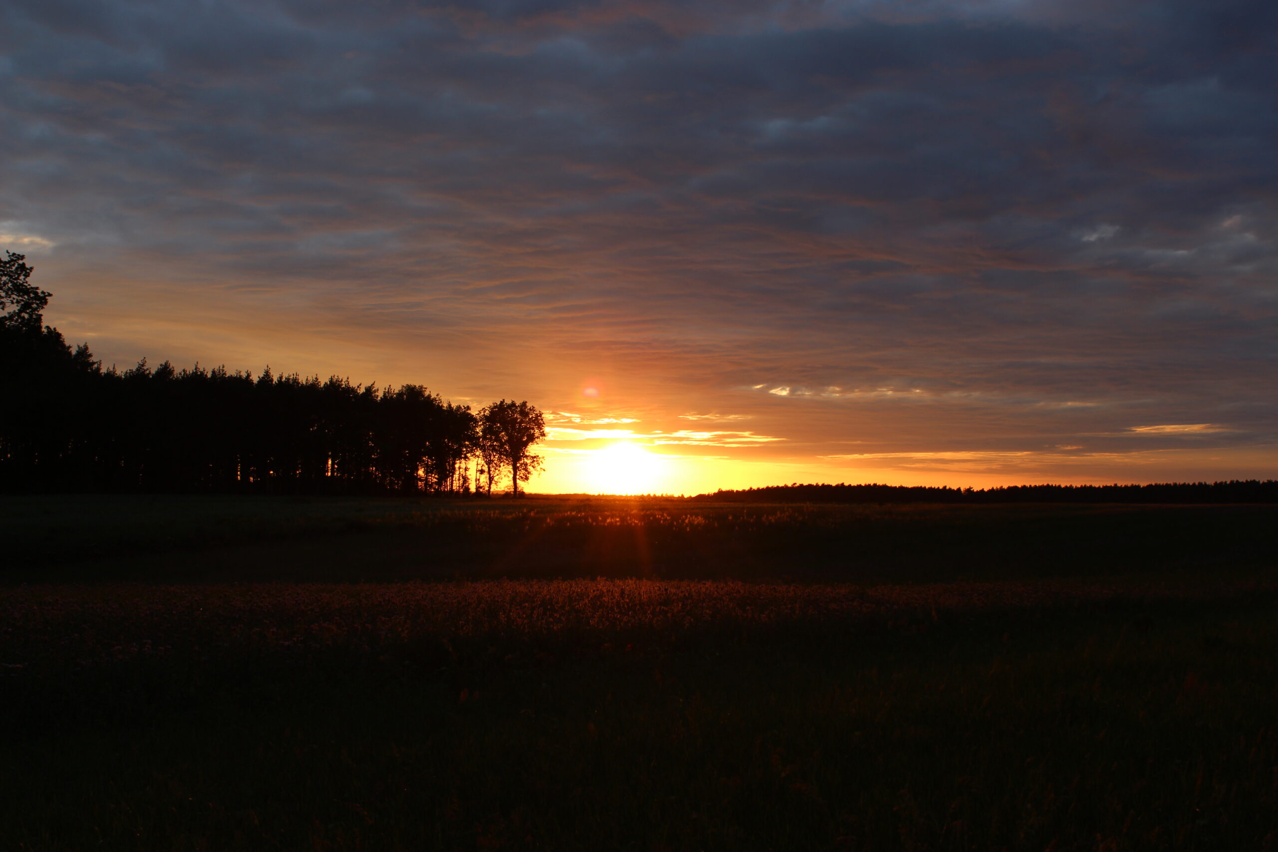 Persönlicher Rückblick 2025
