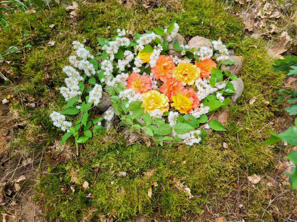 Verlust 02 Kopie 1024x768