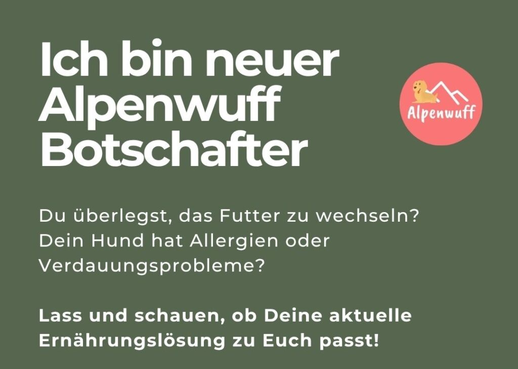 botschafter vorstellung klein