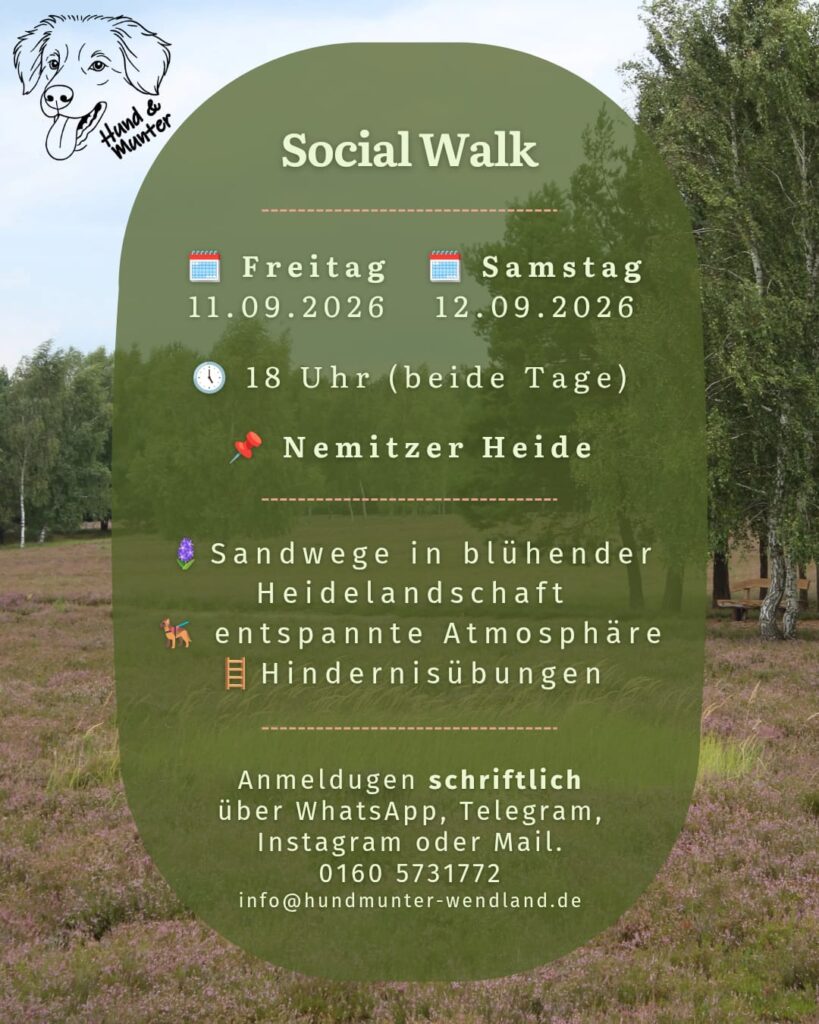 sw nemitzer heide september kopie